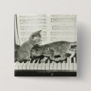 Search for keyboard badges Musical instrument