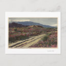 Search for springtime postcards Lantern