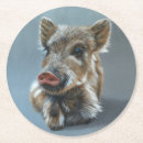 Search for boar coasters Pig