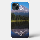 Search for reflected cases Mountain