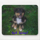 Search for adopting standard mouse mats Puppy