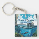 Search for channel key rings Channel islands national park