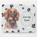 Search for hairy mouse mats Dog