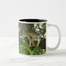 Search for squirrel monkey Wildlife