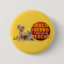 Search for cat rescue and badges Gracie and pedro