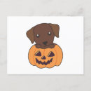 Search for first dog postcards Dogs