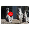 Search for ring tailed magnets Funny