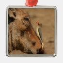 Search for challenge christmas tree decorations Achievement