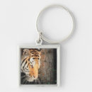 Search for stalking accessories Tiger
