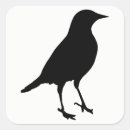 Search for blackbird stickers Animal