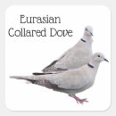 Search for collar stickers Bird