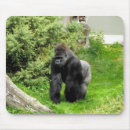 Search for silverback gorilla electronics Animals