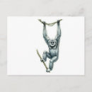 Search for gibbon postcards Ape