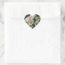 Search for apple blossoms stickers Orchard