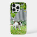 Search for funny fox iphone cases Happy