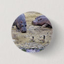 Search for hippos badges Hippopotamus