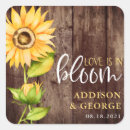 Search for blooming sunflower stickers Watercolor
