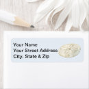 Search for shore return address labels Watercolor