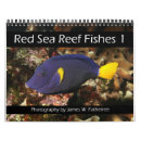 Search for coral reef calendars Marine