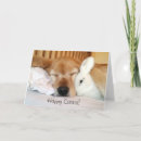 Search for golden retriever easter cards Dog