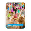 Search for funny animals magnets Pets