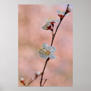 Search for attractive posters Pink