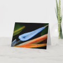 Search for bird paradise cards Flower