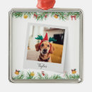 Search for pet christmas tree decorations Xmas