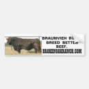 Search for bull bumper stickers Cows