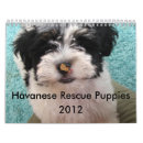 Search for rescue calendars Puppies