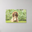 Search for cavalier king charles spaniel art Flower