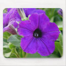 Search for petunia mouse mats Garden