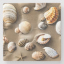 Search for shell decor coasters Tropical