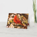 Search for apple blossom birthday cards Nature