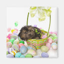 Search for easter basket magnets Animal