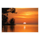 Search for tree key art Palm trees