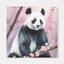 Search for panda magnets Floral