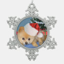 Search for poms christmas tree decorations Pets