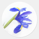 Search for exotic flower stickers Purple