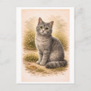 Search for gray postcards Kitten