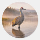 Search for wetlands stickers Wildlife