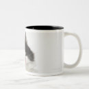 Search for looking at camera mugs Nature
