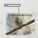 Search for its postcards Bird