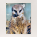 Search for meerkat puzzles Wild animals