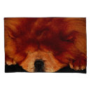 Search for sleeps with dogs pillowcases Sleeping