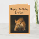 Search for funny squirrel birthday cards Cute