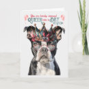 Search for boston terrier birthday cards Pets