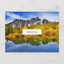 Search for fall trees photography Blue sky
