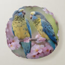 Search for budgie cushions Parrot