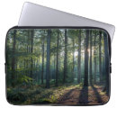 Search for beech electronics Woods